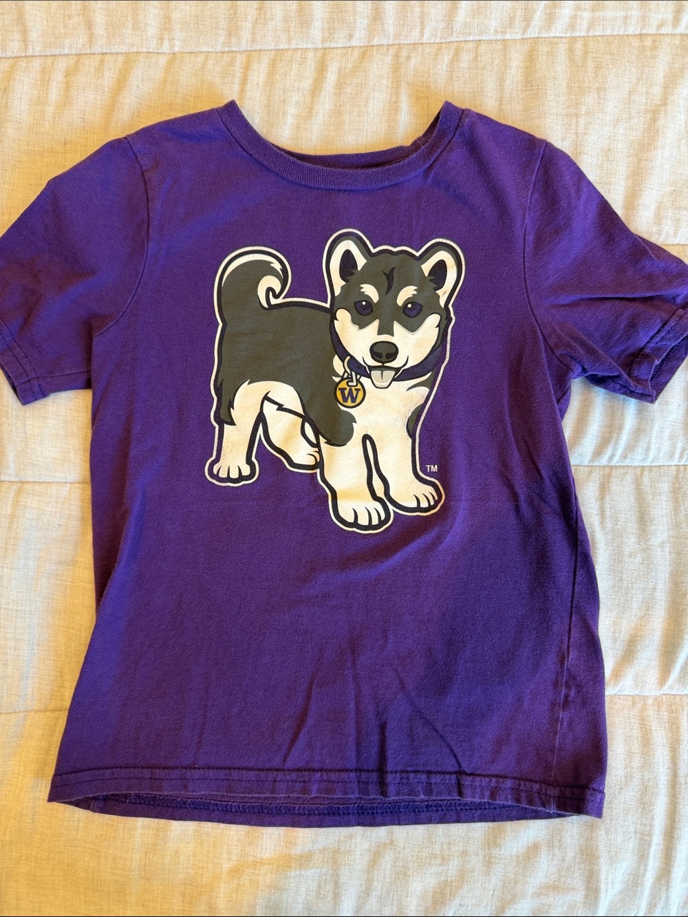 Kids Purple Graphic Tee with Washington Husky Pup